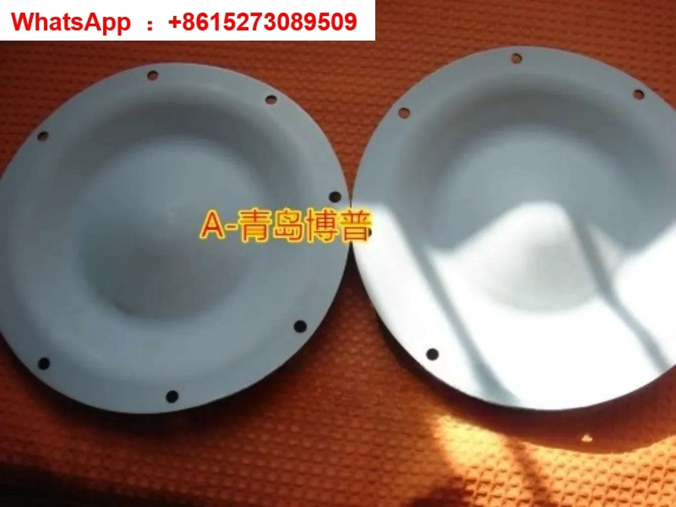 독일 공압 다이어프램 펌프 E40TTT PTFE 14003167