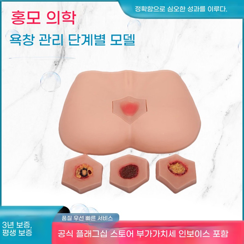 욕창 더미 모형 모델 A. 홍모 HOM0B 단계 욕창 간호 모형 노인 케어 교육 모형 4단계 욕창 간호 교육 모형 욕창 간호 교육 모형 시뮬레이터 - 상품 이미지
