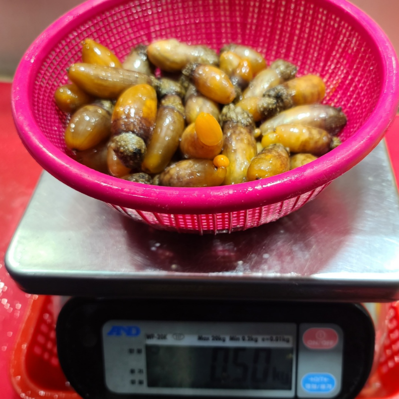 자연가득 남해안 횟감용 손질 깐 미더덕 500g-1kg 이미지 6