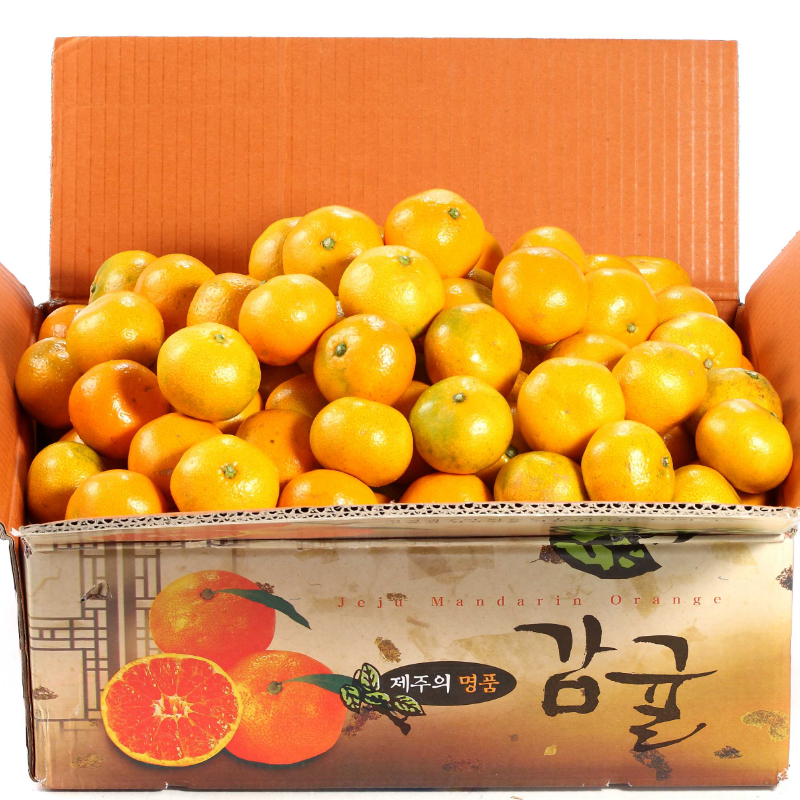 자연가득 비가림 하우스 제주 감귤 2kg-3kg - 상세 이미지 3
