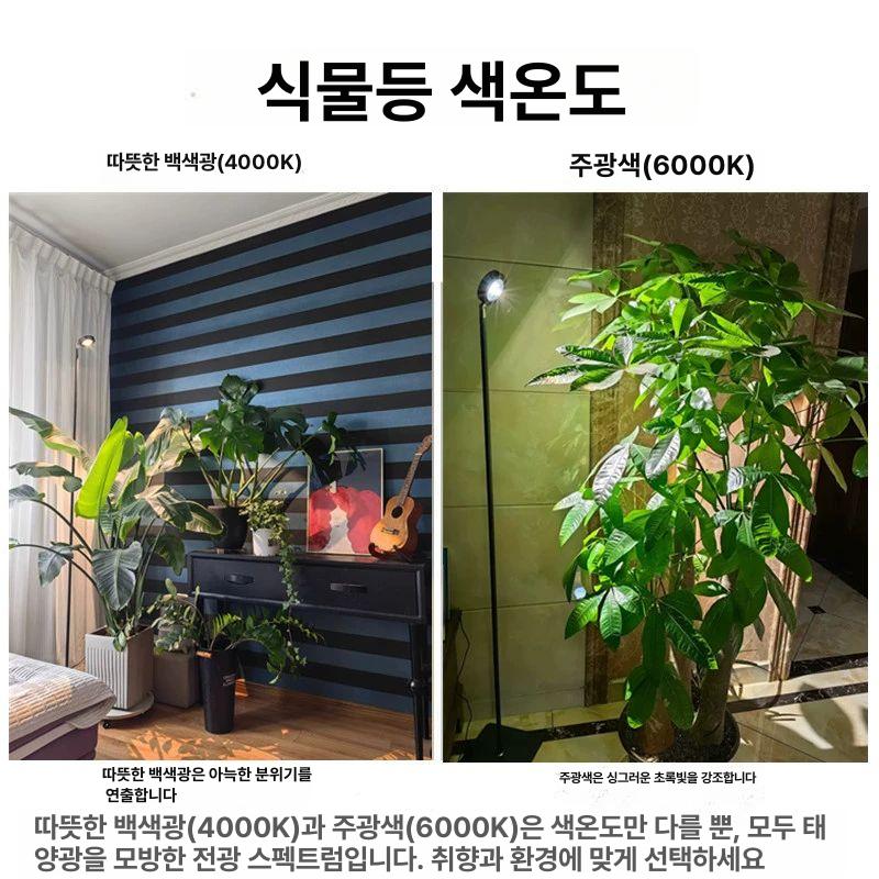 식물 조명 반려식물 led 화분 실내 성장 다육이 등 수동 다육 광합성 성장등 나무 효과 - 상세 이미지 5