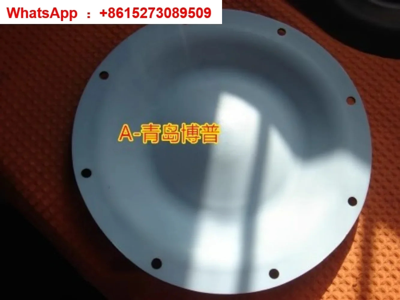 독일 공압 다이어프램 펌프 E40TTT PTFE 14003167