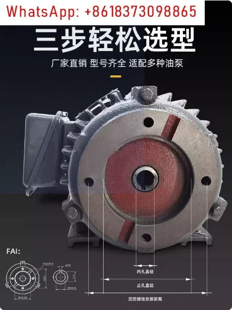 유압 모터 오일 펌프 KL-02 03 04 05/0.75 1.5 2.2 3.75KW 특별