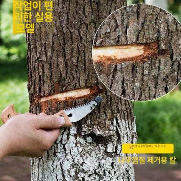 최강 박피 원예 나무탈피도구 회전식 긁개 플라이어 양날 A형 A형 - 상세 이미지 5