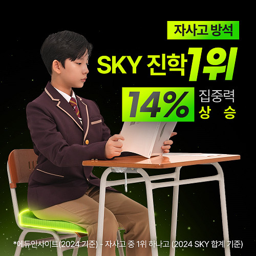 밸런스온 기능성 시그니처 시트(치질 자세교정 도넛 엉덩이 꼬리뼈 전립선 무중력)