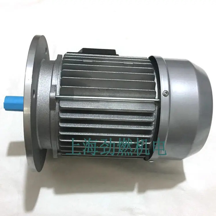 타입 52/80R-1100-2T IE3 버너 모터 0005010261