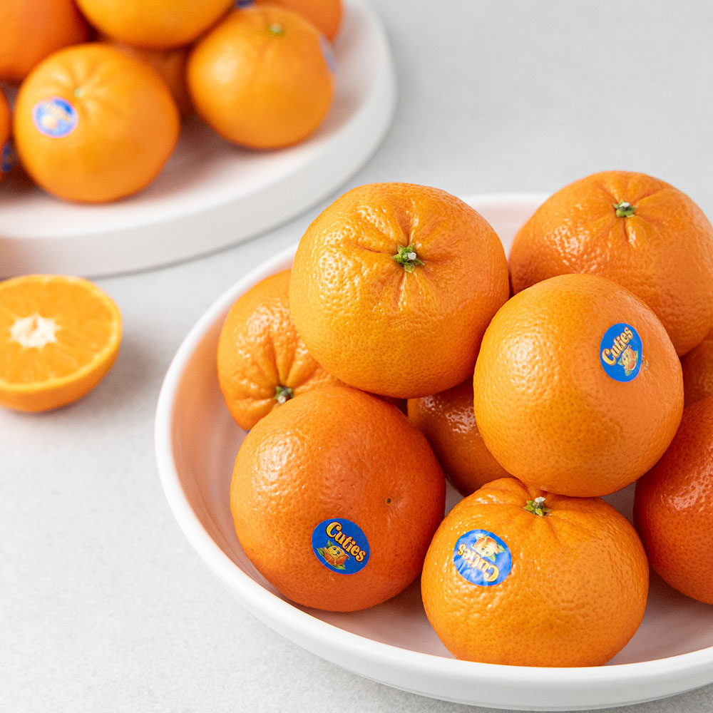 비가림하우스귤 만다린귤 진지향 제주 서귀포 10키로 5키로 맛있는 감귤 고당도 로얄과 소과