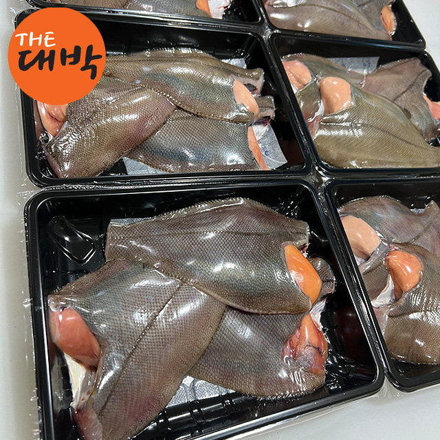 포항 가자미 알가자미 참가자미 제철 생선 - 상세 이미지 5