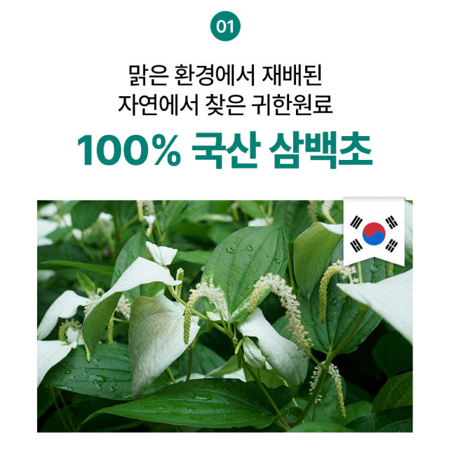 [2+1] 동국제약 마이핏 국내산 삼백초추출물 100% 파이토 정 60정, 3개