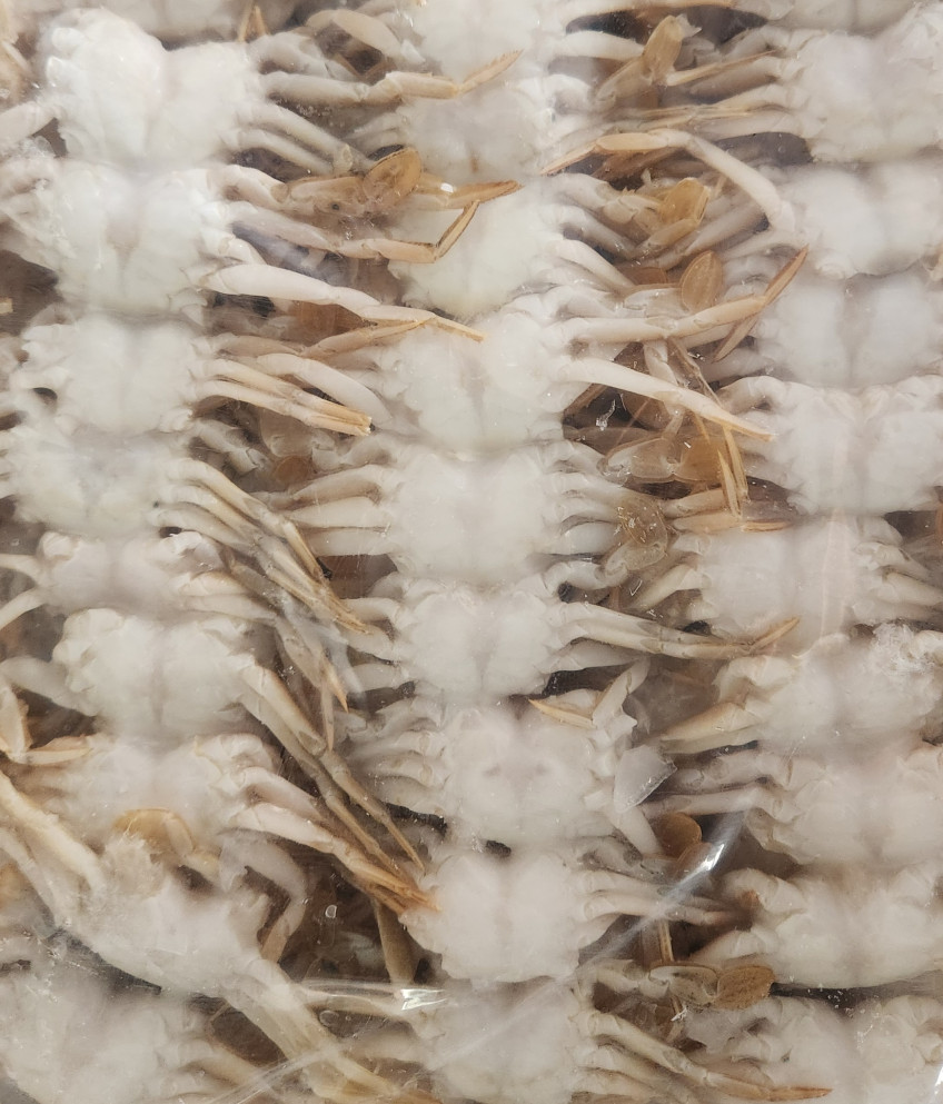 베이비크랩 10kg 냉동 미니 꽃게 칠게 튀김 대용량 벌크 업소용 식당용 판매처 상세 정보 이미지 2