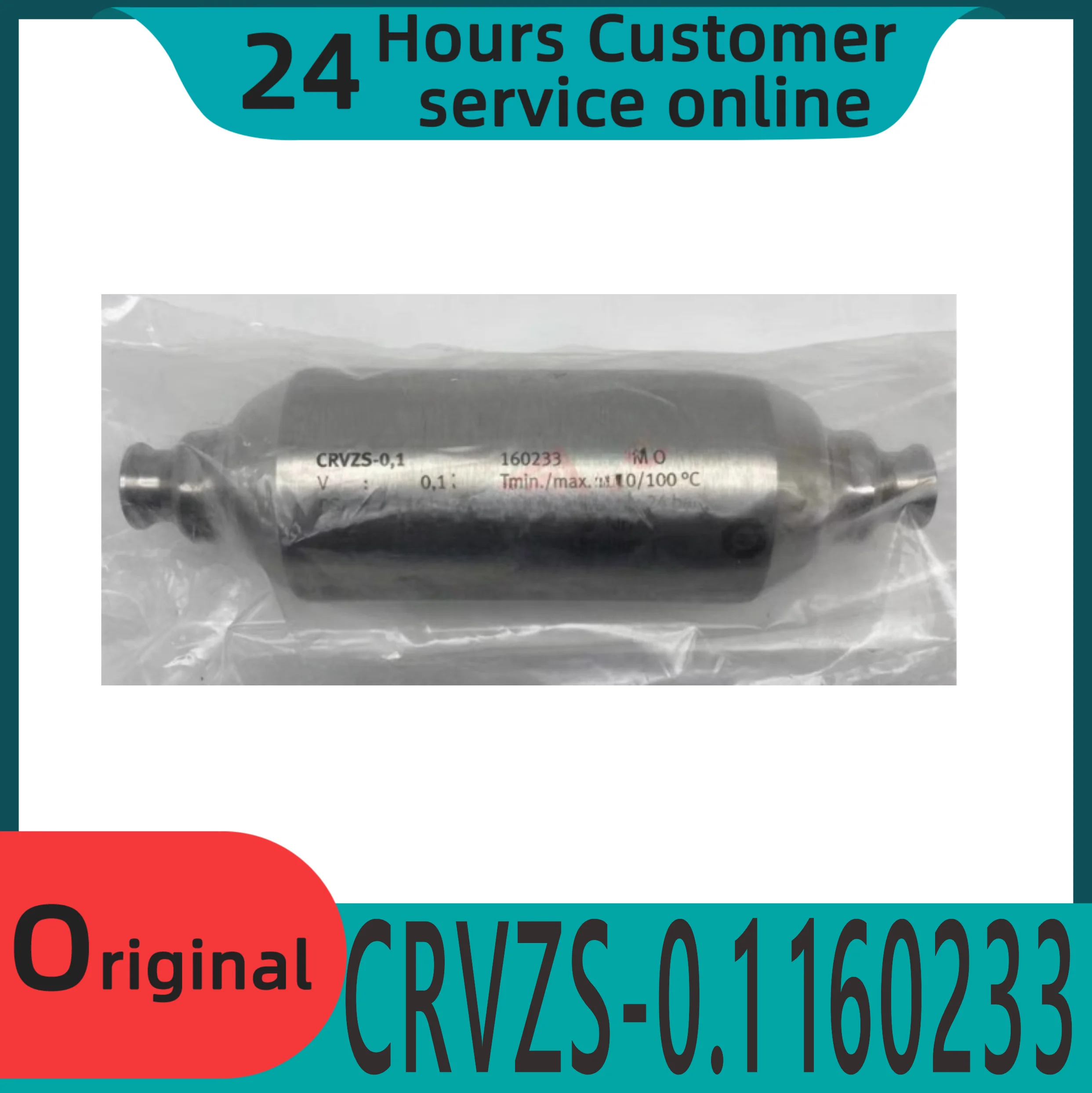오리지널 압력 저장 탱크 CRVZS-0.1/0.4 160233 160234