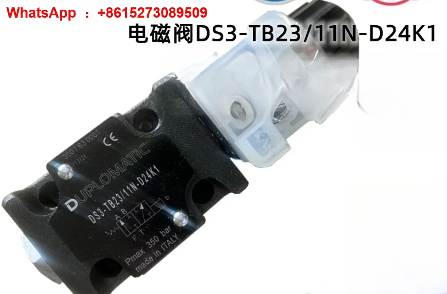 솔레노이드 밸브 DS3-RSA4-11N-A00 RSA1/RSB1 A110K1/D220K1/A230K1