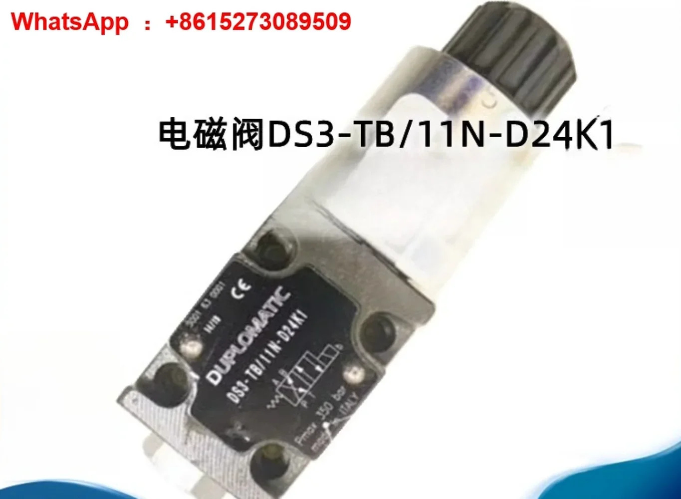 솔레노이드 밸브 DS3-RSA4-11N-A00 RSA1/RSB1 A110K1/D220K1/A230K1