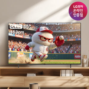 LG OLED TV OLED65B5ENA 퇴근 후 간편한 청소와 관리로 편리한 홈 엔터테인먼트 환경 만들기