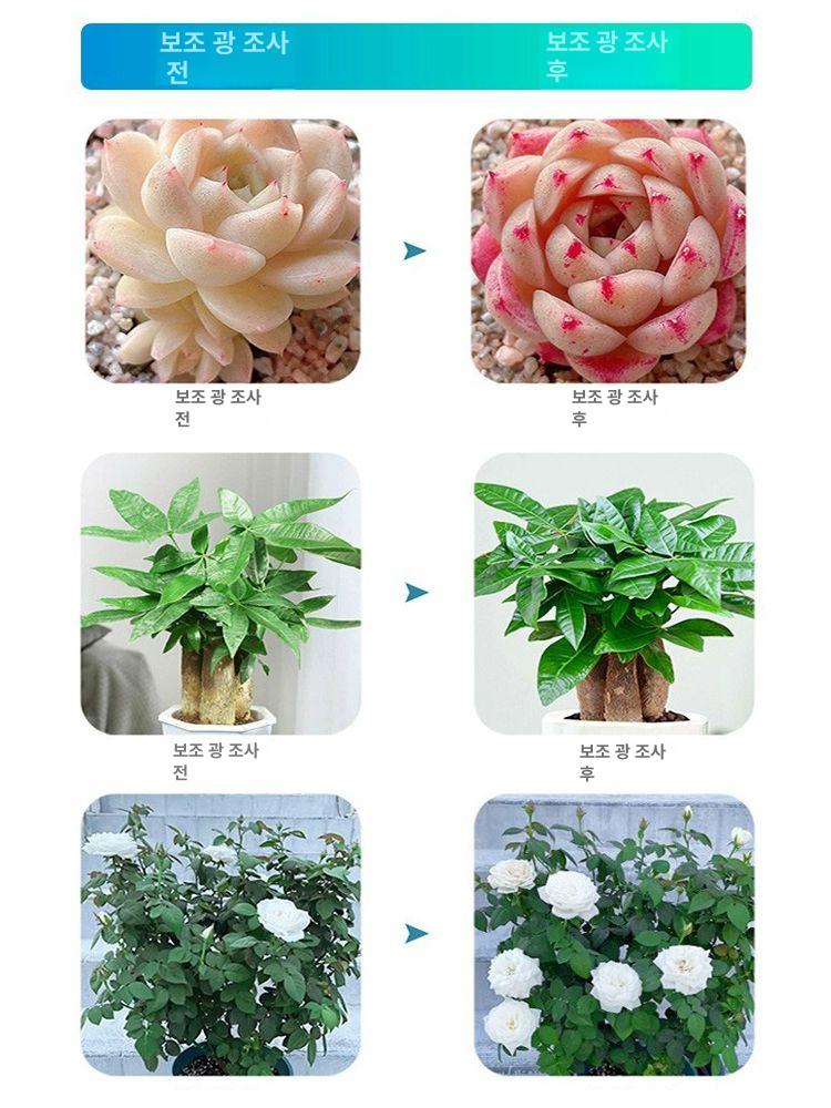 식물 조명 반려식물 led 화분 실내 성장 다육이 등 수동 다육 광합성 성장등 나무 효과 - 상세 이미지 4