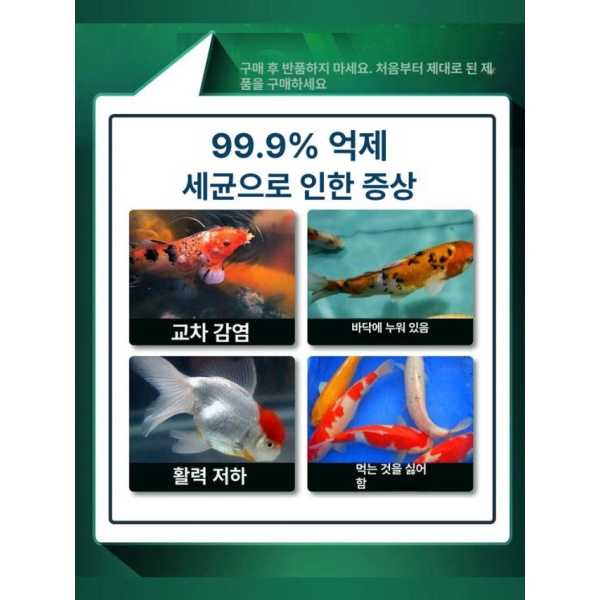 프리미엄 거북이 관상어 어항 약품 세트 아크릴 물고기 300g 50g - 상세 이미지 2