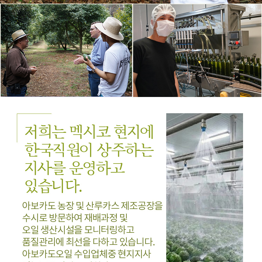 산루카스 엑스트라버진 아보카도오일 냉압착 아보카드 오일 기름 아보카도유 1L, 1개 상품 이미지
