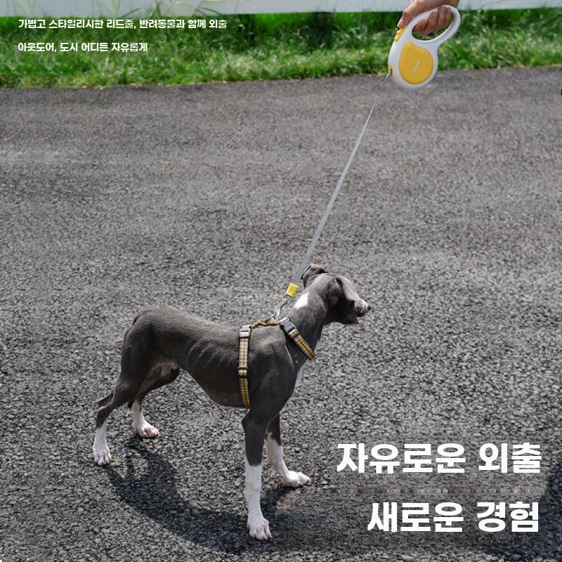 반려견 가슴줄 일체형 리드줄 조절형 탈출방지 산책줄 - 상세 이미지 5