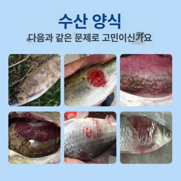 강력한 곰팡이 치료제 아스토니쉬곰팡이 물곰팡이 캡슐세제 제거 좋은 동반자 깊은 표준형 35 -2.5l 병 25무 - 상세 이미지 3