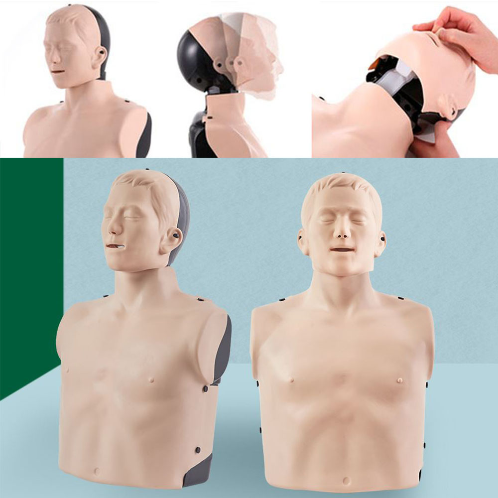 상체 심폐소생술 마네킹 1개입 성인 체형 CPR 학습 연습용 - 상품 이미지