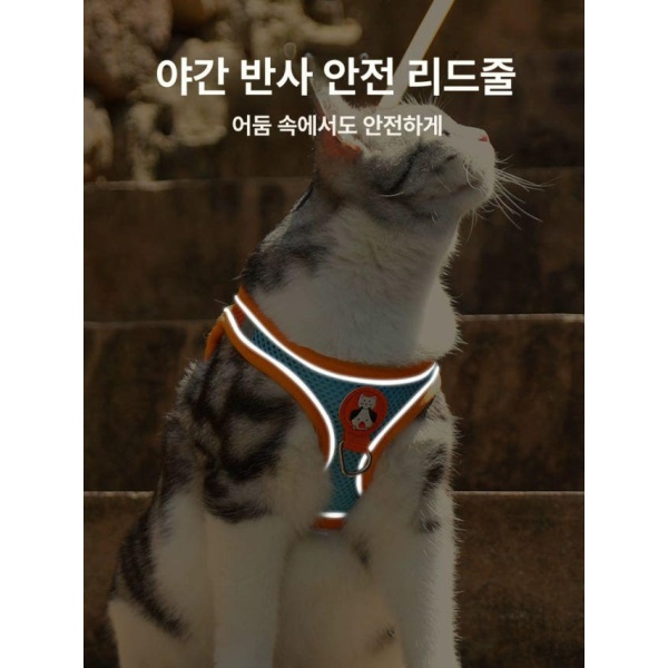 안전한 캣워크 탈출방지하네스 산책용하네스 고양이하네스 오렌지블루 무끈 오렌지블루 무끈 S 추천 체중 1~3kg - 상세 이미지 4