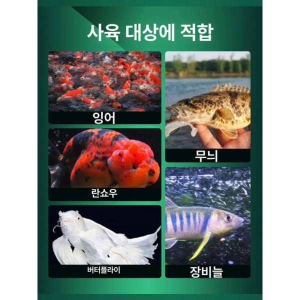 프리미엄 거북이 관상어 어항 약품 세트 아크릴 물고기 300g 50g - 상세 이미지 3