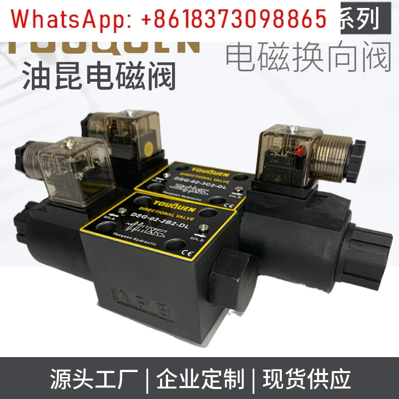 솔레노이드 밸브 DSG-02-3C2 3C4 3C6 2B2 -DL/LW 24V 220V