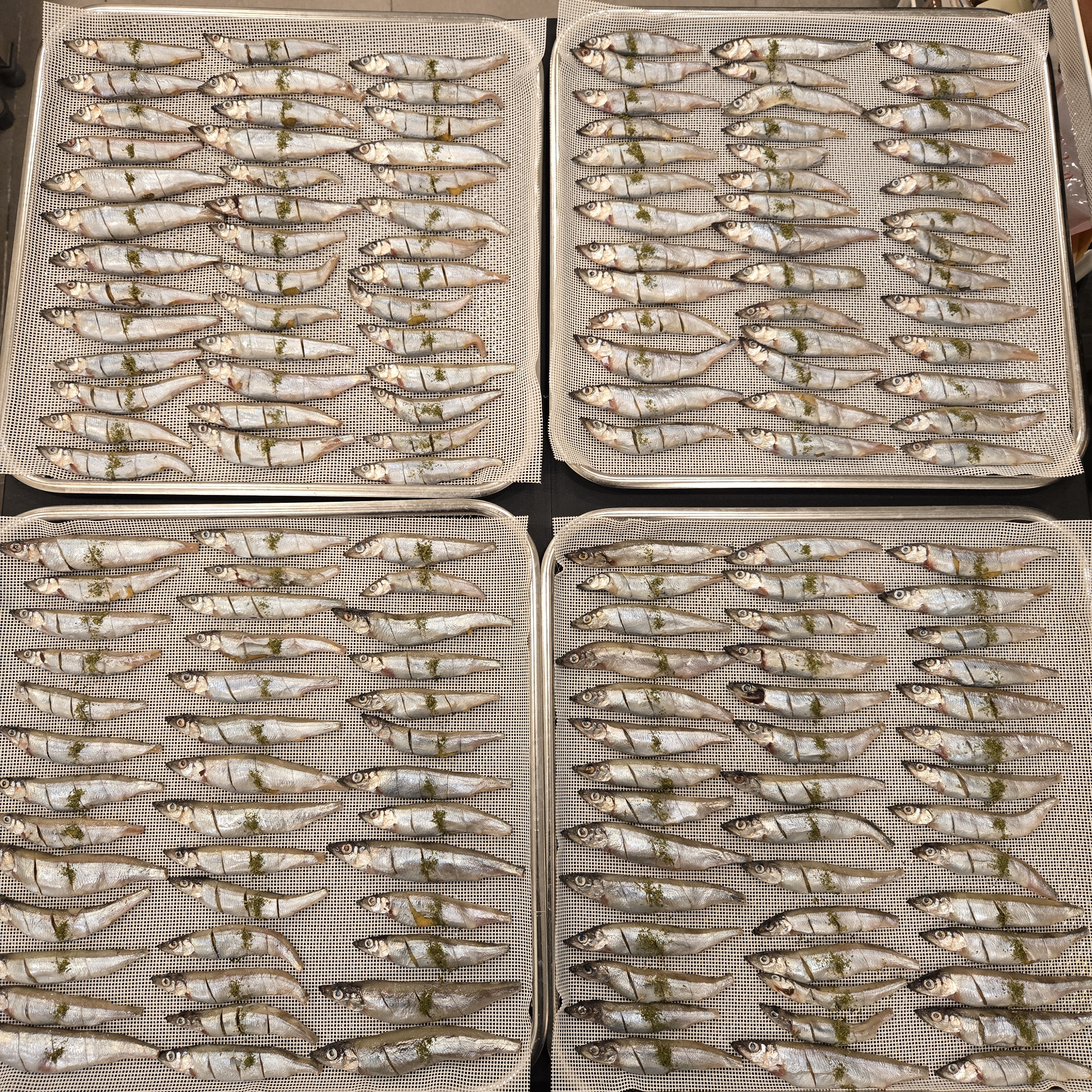 댕심당 강아지 수제 간식 열빙어 50g 무방부제 무첨가물 건강 애견간식 핸드메이드 - 상세 이미지 2