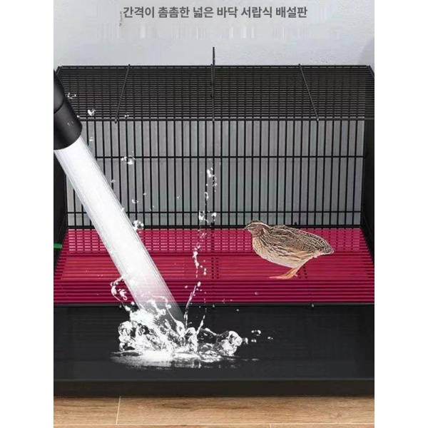 프리미엄 동물 우리 닭장 토끼 케이지 반려동물 하우스 블랙 미디엄 A 토끼 음수대는 랜덤으로 - 상세 이미지 4