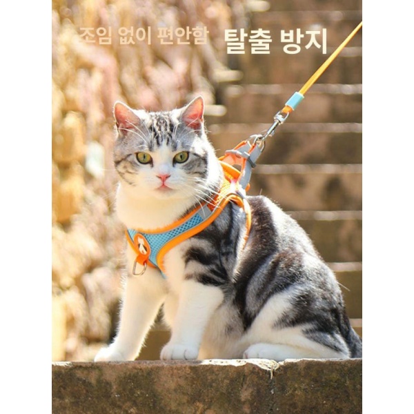 안전한 캣워크 탈출방지하네스 산책용하네스 고양이하네스 오렌지블루 무끈 오렌지블루 무끈 S 추천 체중 1~3kg - 상세 이미지 2