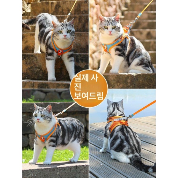안전한 캣워크 탈출방지하네스 산책용하네스 고양이하네스 오렌지블루 무끈 오렌지블루 무끈 S 추천 체중 1~3kg - 상세 이미지 5