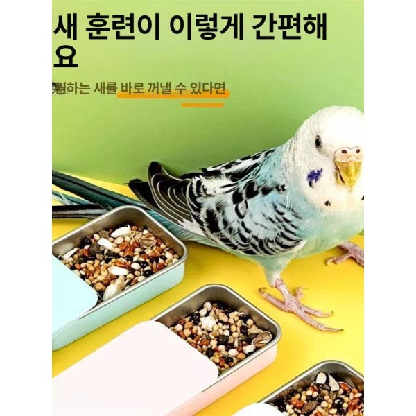프리미엄 훈련용 앵무새 먹이통 피더 조류 훈련 도구 용품 블랙 1개 블랙 1개 - 상품 이미지