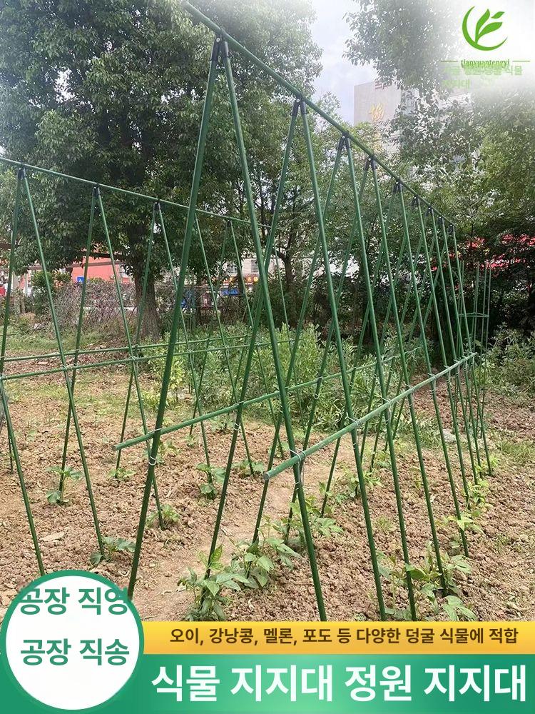 텃밭 지지대 넝쿨 거치대 토마토 지주대 원예 장미 오이 11mm 150 x 90x3 가로 8세로 중간 - 상세 이미지 2