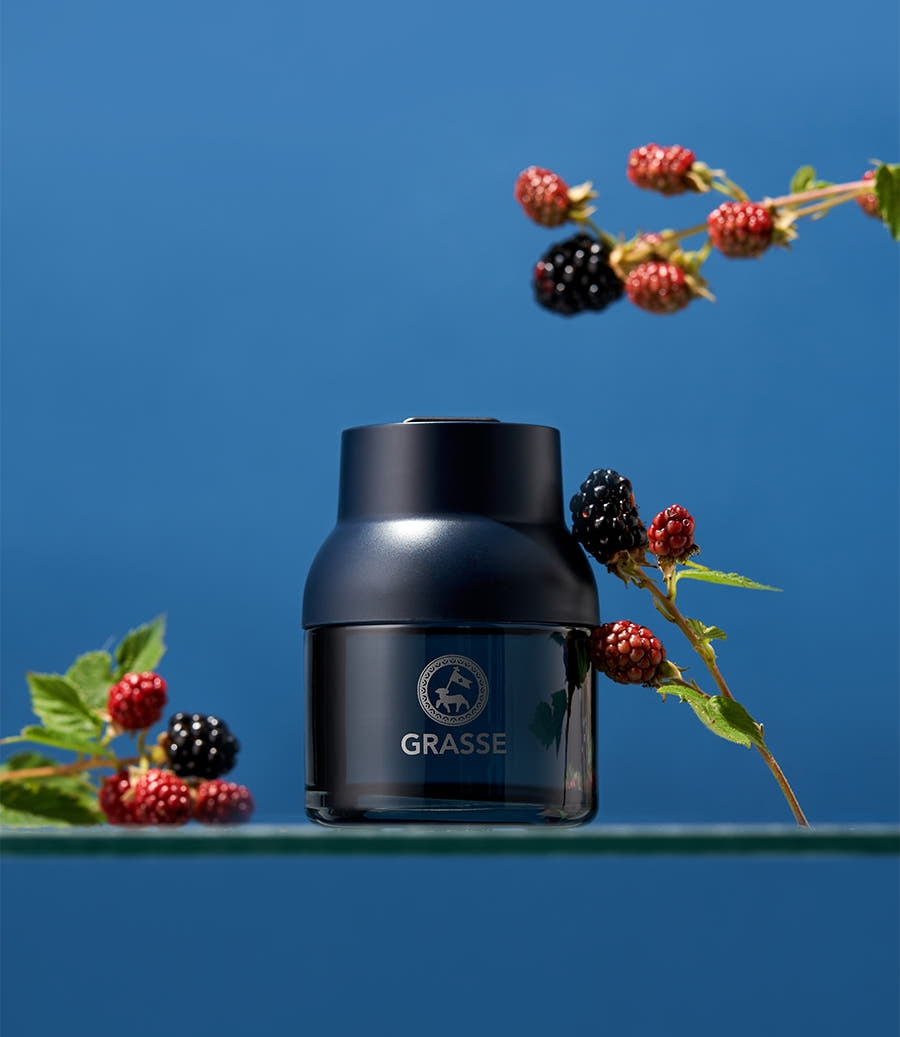 Bullsone공식몰 불스원 그라스 디퓨저 블루 차량용 방향제 90ml 블랙베리