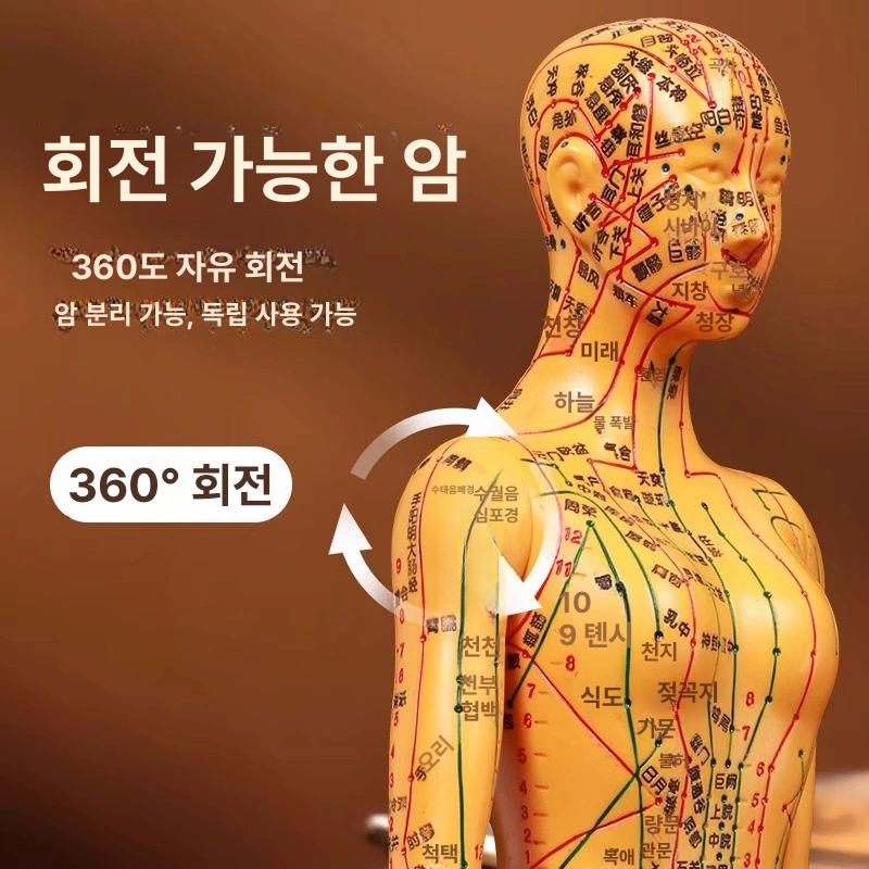경혈 인형 혈자리 의원 한의학 실습 침술 모형 한방 구리색 경질 54cm 남성 1단계 - 상세 이미지 4