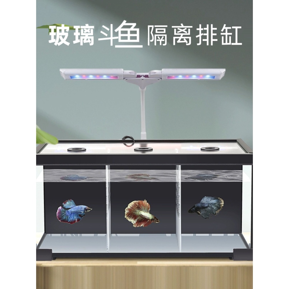 칸막이 격리 어항 수조 분할 열대어 구피 마리모 조명 포함 물고기어항 검은색 2칸 28.5cm 펌프필터 - 상세 이미지 2