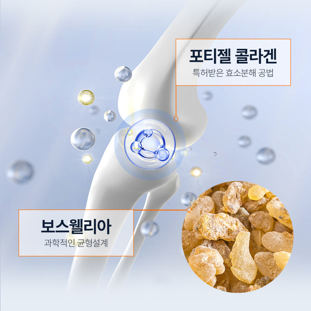 제품 비교 및 성분 이미지