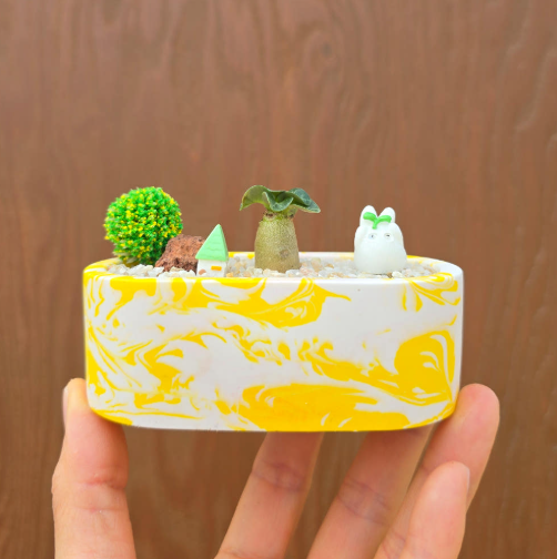아라비쿰 dha 제스모 키트 제스모나이트 친환경 화분 만들기 DIY 식재 체험학습 아임팟 - 상세 이미지 2