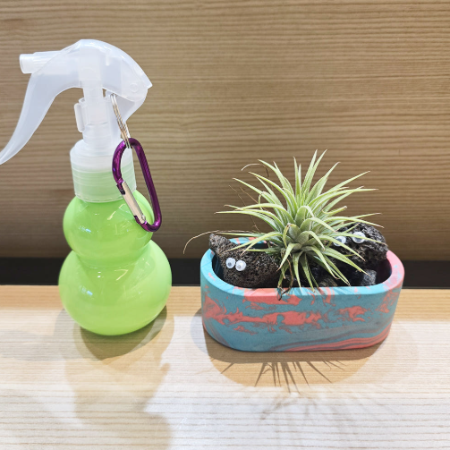 눈알친구 제스모 키트 제스모나이트 친환경 화분 만들기 식재 체험학습 교구 아임팟 - 상세 이미지 3