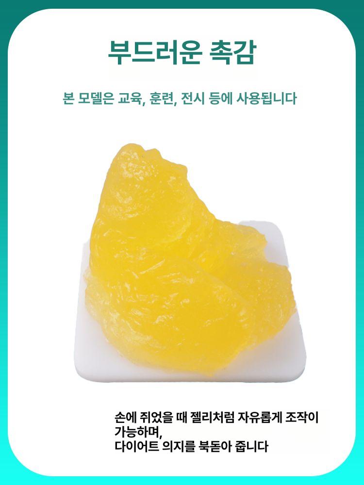 지방모형 피트니스 헬스 1KG 받침대 교육 실리콘 긴 버전 - 상세 이미지 4