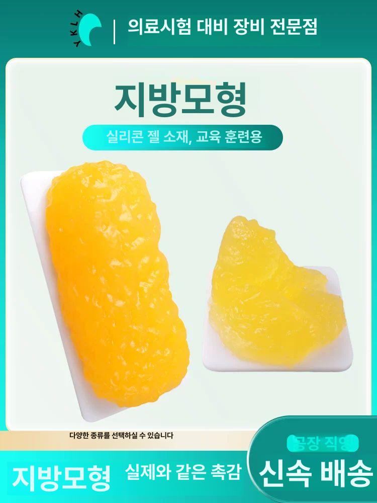 지방모형 피트니스 헬스 1KG 받침대 교육 실리콘 긴 버전 - 상세 이미지 2