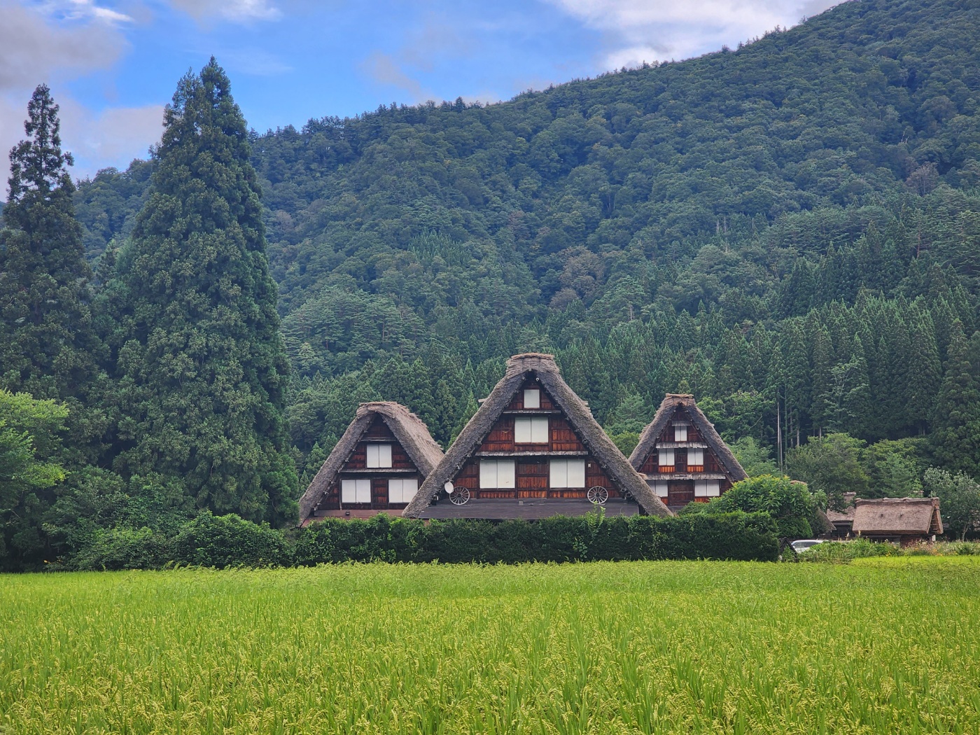 [명물간식특전] 나고야 다카야마 시라카와고 버스투어 히다규카레빵 특전 이미지 2