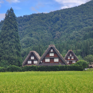 [명물간식특전] 나고야 다카야마 시라카와고 버스투어 히다규카레빵 특전 솔직 후기 | 실사용자 리뷰 분석 - 상품 이미지 2