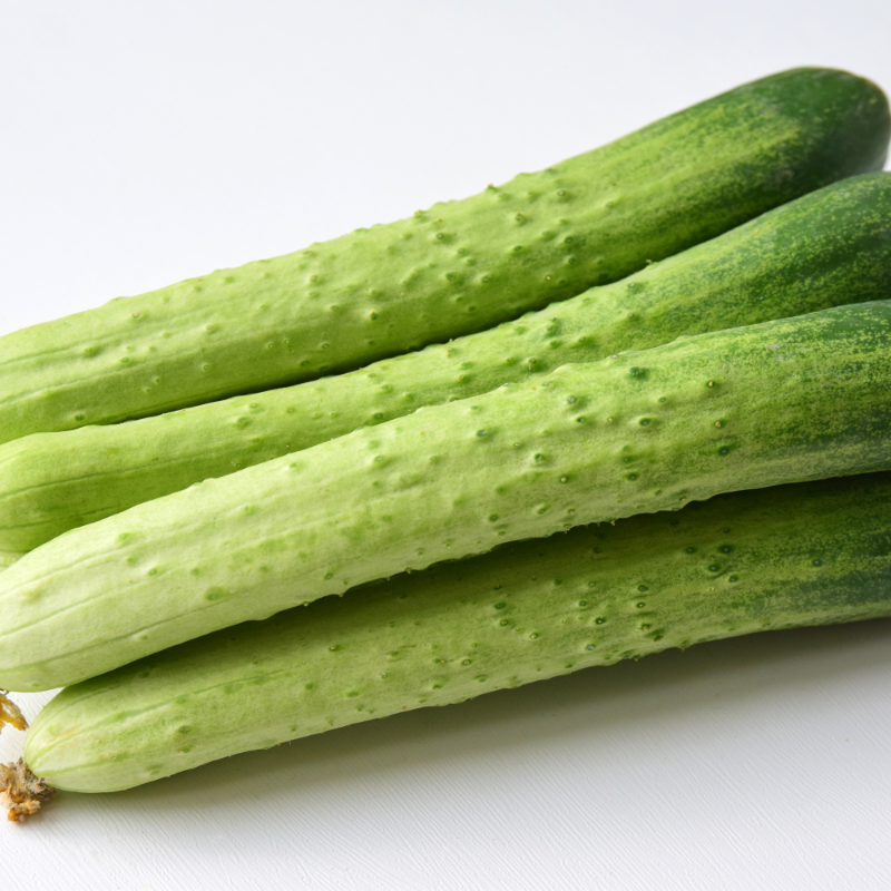 자연가득 수분가득 아삭한 맛 백오이 1kg-5kg - 상세 이미지 2