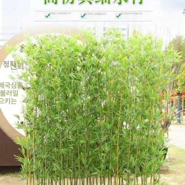 프리미엄 인조 대나무 조경 파티션 사무실 가짜 식당 조화나무 1m 고세수 대나무 10개 - 상세 이미지 3