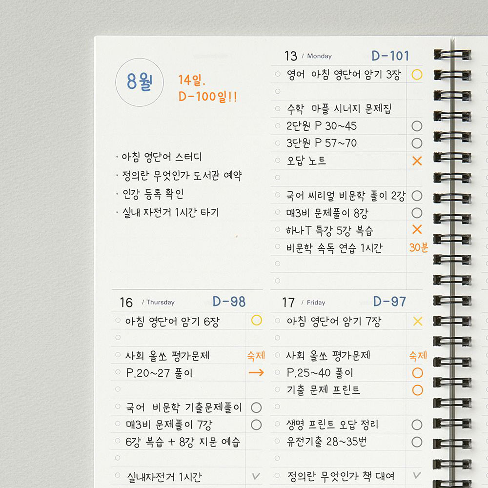 스케줄 플래너 직장인 대학생 체크리스트 스터디 스케줄러 투두리스트 만년형 A5 이미지 7