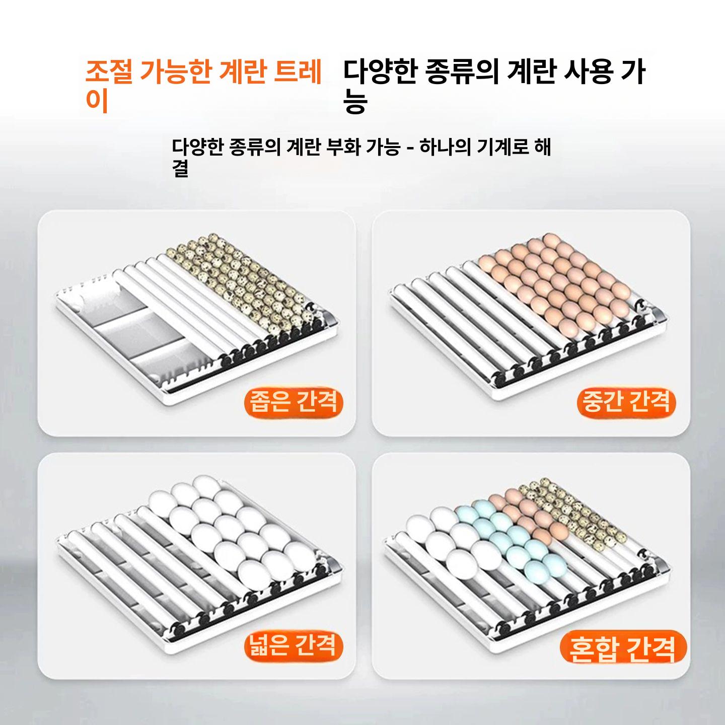 온도조절 계란 소형 대용량 스텐 멀티 모델 스마트 보관 양계 부화기 키우기 - 상세 이미지 5