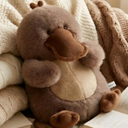 [daparang]오리너구리 봉제 인형 거실 침실 침대 소파 장식 학생 수험생 행운 기원 개업 선물