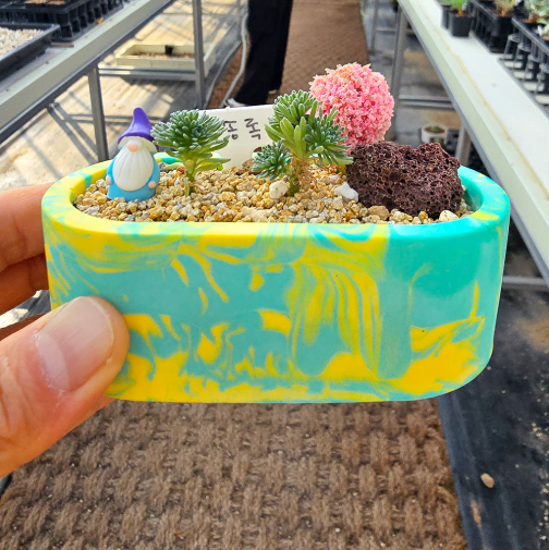 소송록 제스모 키트 제스모나이트 친환경 화분 만들기 DIY 식재 체험학습 교구 아임팟 - 상세 이미지 4