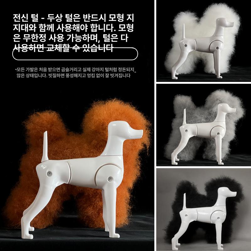 비숑 연습 모형 애견미용 연습용 골격 애견미용사 애견 독립형 푸들 뼈대 어깨높이23cm - 상세 이미지 2